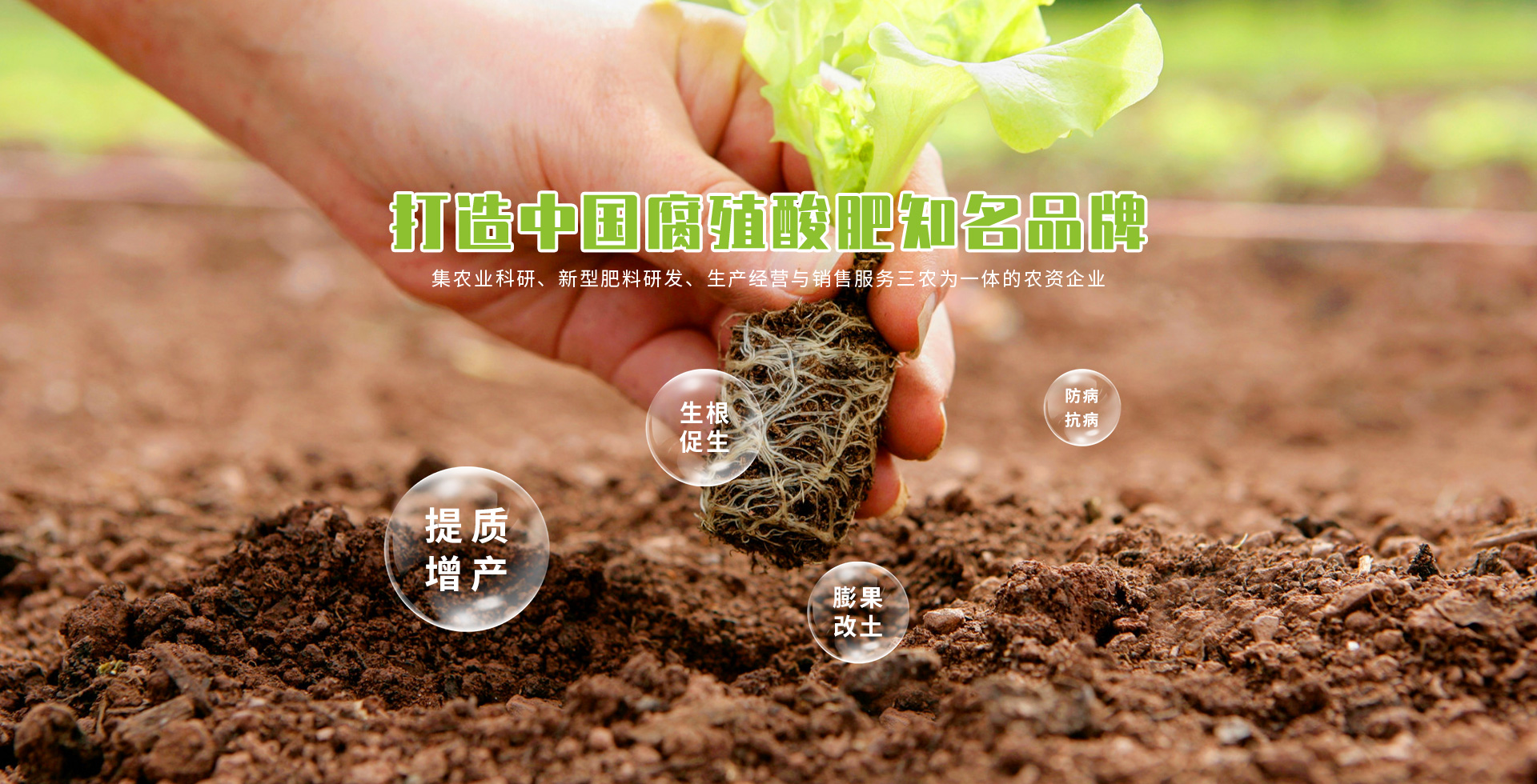 蓝颜
股份有限公司