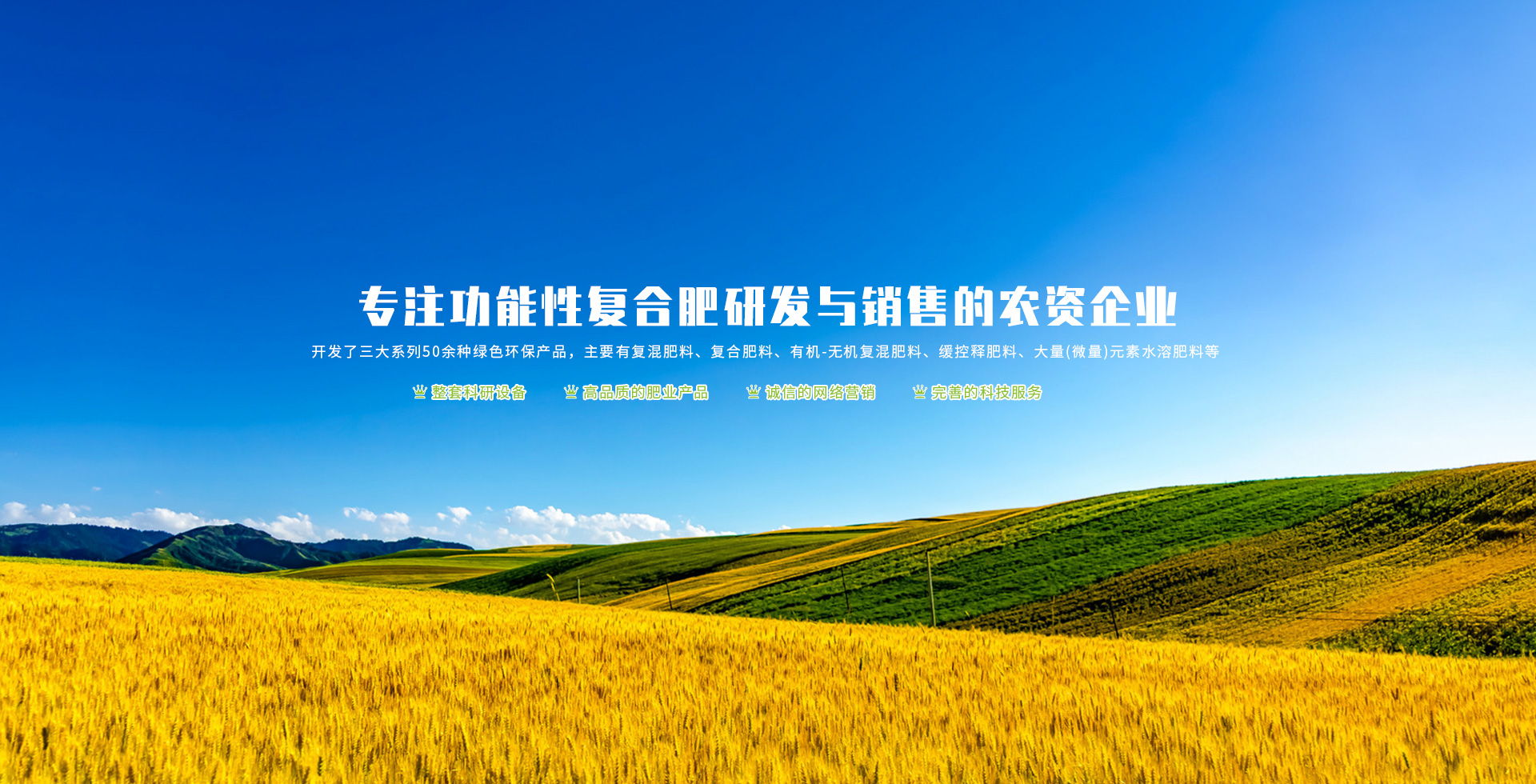 蓝颜
股份有限公司